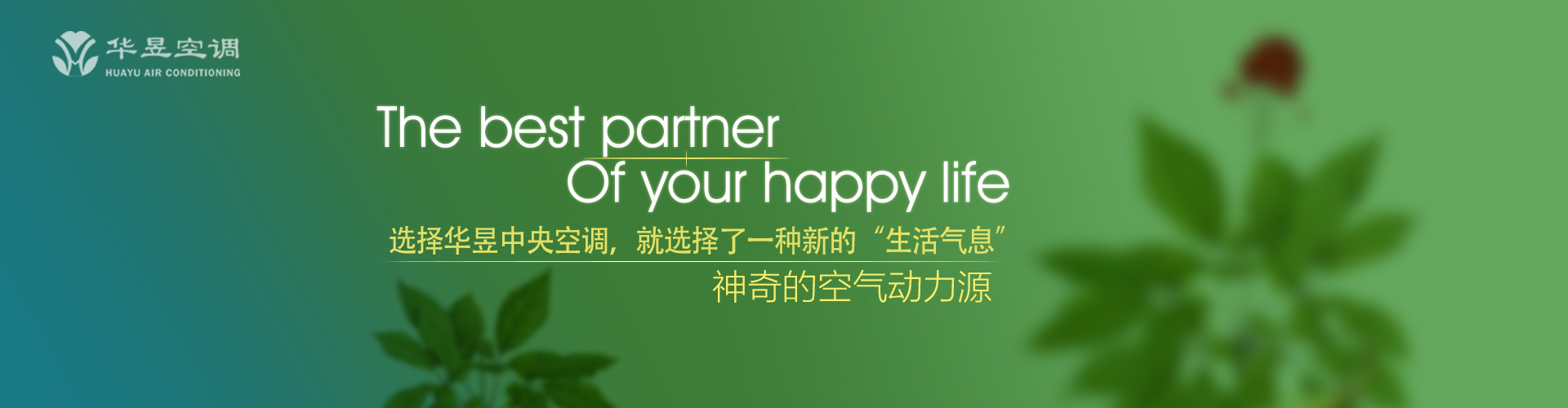 礼轻情意重网
